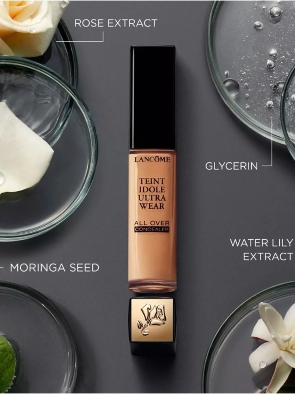 Lancôme Teint Idôle Ultra Wear All Over Concealer In suede